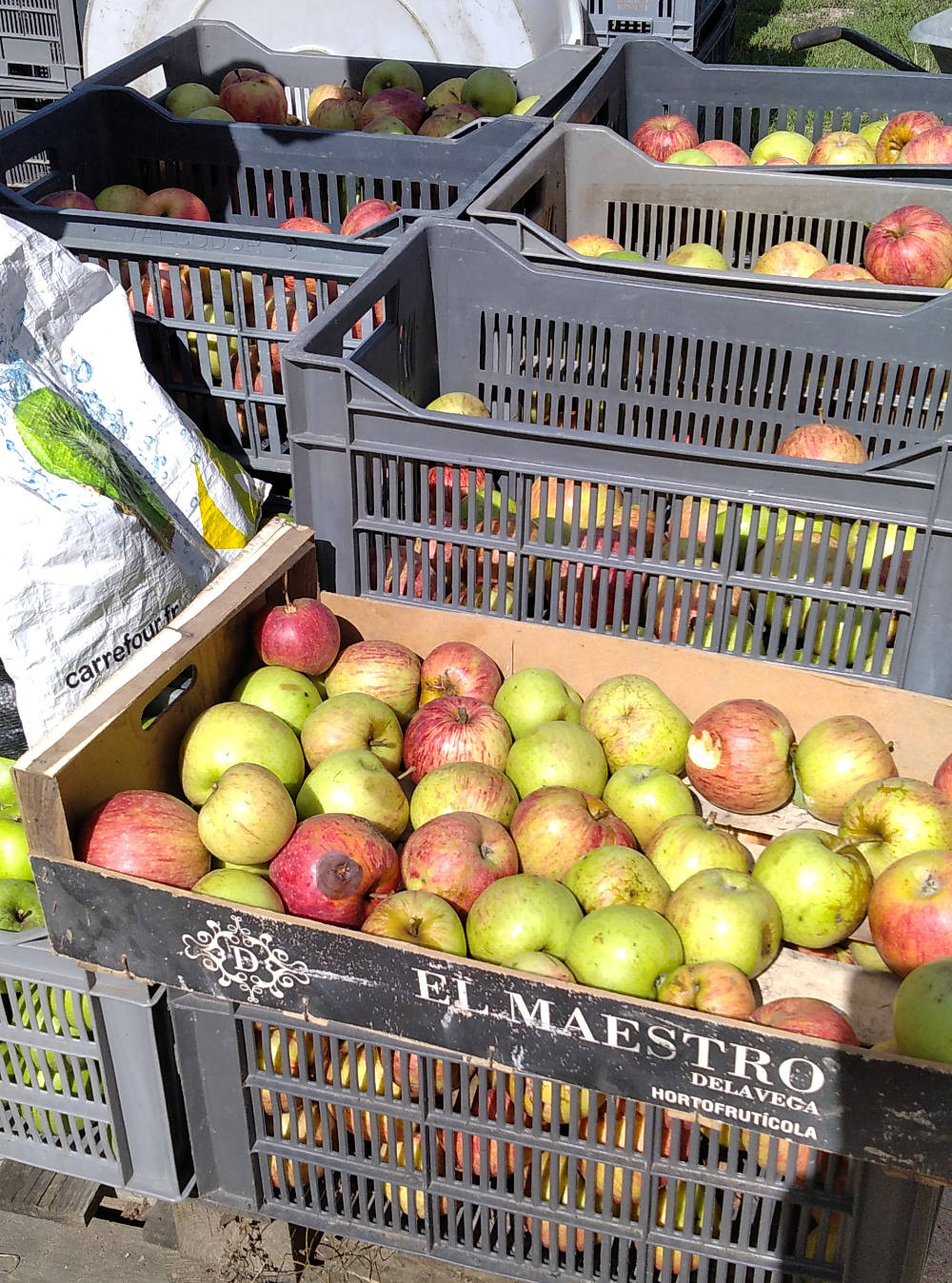 jus%20de%20pomme%202025